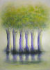 Trees on Canal du Midi 80x65cm